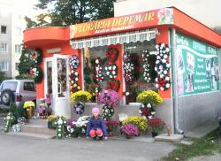 Floraria DEPEMAR > flori,  aranjamente florale, buchete mireasa, decoratiuni evenimente, cadouri, Baia Mare, MM, m319_2.jpg