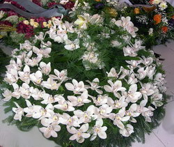 Floraria IKEBANA (vizavi de Electrica) > livrari flori, comenzi online, Baia Mare, MM, m527_10.jpg