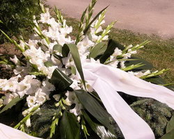 Floraria IKEBANA (vizavi de Electrica) > livrari flori, comenzi online, Baia Mare, MM, m527_16.jpg