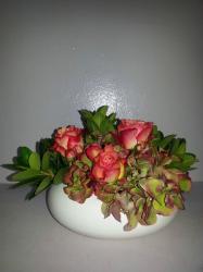 Floraria IKEBANA (vizavi de Electrica) > livrari flori, comenzi online, Baia Mare, MM, m527_21.jpg