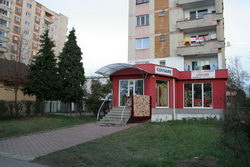 Covoare, mochete, carpete, metraje, livrari > COVORUL FERMECAT, loc. Baia Mare, jud. Maramures, m923_1.jpg