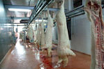 Carne, mezeluri > abatorul AND & ALIN > FERMA ZOOTEHNICA SRL, loc. Baia Mare, jud. Maramures, m2010_11.jpg