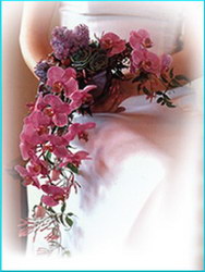 Livrari flori si aranjamente florale > floraria IRIS, Baia Mare, MM, m2640_17.jpg