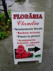 Floraria CLAUDIA > organizari nunti si evenimente speciale, Baia Mare, MM, m4608_2.jpg