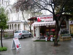 Floraria CLAUDIA > organizari nunti si evenimente speciale, Baia Mare, MM, m4608_3.jpg