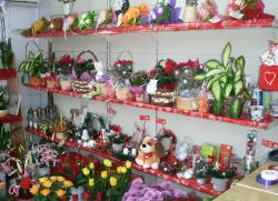 Floraria CLAUDIA > organizari nunti si evenimente speciale, Baia Mare, MM, m4608_6.jpg