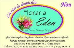 FLORARIA EDEN > livrari flori si aranjamente florale, cadouri, nunti si evenimente speciale, Baia Mare, MM, m5243_1.jpg