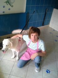 Salonul DROOPY > toaletaj canin, cosmetica canina, coafura si frizerie caini, Baia Mare, MM, m5439_6.jpg