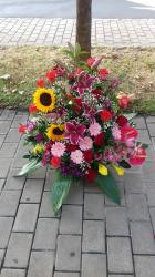 FLORARIA Flori din DRAGOSTE > florarie, flori, cadouri, organizari nunti si evenimente, Baia Mare, MM, m6142_22.jpg