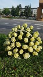 FLORARIA Flori din DRAGOSTE > florarie, flori, cadouri, organizari nunti si evenimente, Baia Mare, MM, m6142_7.jpg