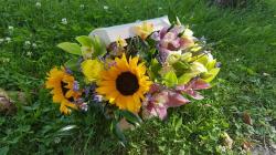 FLORARIA Flori din DRAGOSTE > florarie, flori, cadouri, organizari nunti si evenimente, Baia Mare, MM, m6142_8.jpg